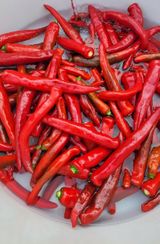 팜모닝 고추·영농일지 게시글 이미지