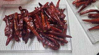 대파16548님의 고추 · 영농일지 작성글 사진