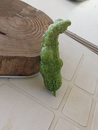 윤무섭님의 농사, 무엇이든 물어보세요! · 참여글 작성글 사진