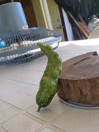 윤무섭님의 농사, 무엇이든 물어보세요! · 참여글 작성글 사진