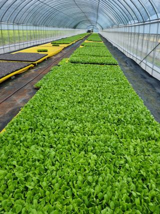 이명숙님의 나의 농사 애장품을 자랑해요 · 참여글 작성글 사진