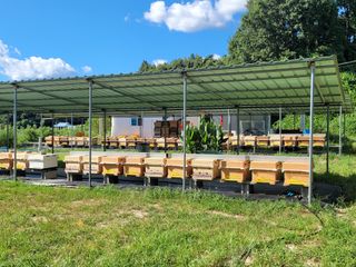 속리산정이품농원님의 자유주제 · 자유게시판 작성글 사진