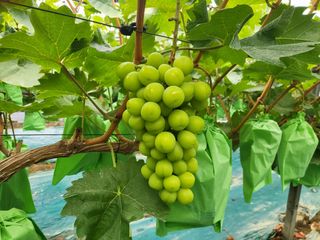 김옥열님의 자유주제 · 사진전 작성글 사진