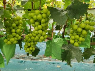 김옥열님의 자유주제 · 사진전 작성글 사진