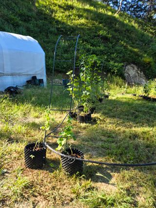 신승우님의 자유주제 · 자유게시판 작성글 사진