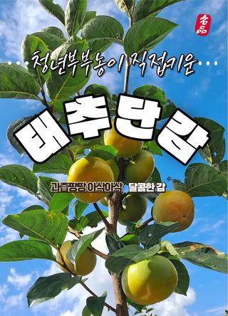 주하네팜(태추,부유님의 자유주제 · 자유게시판 작성글 사진