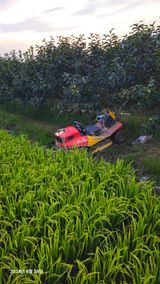 팜모닝 감·영농일지 게시글 이미지