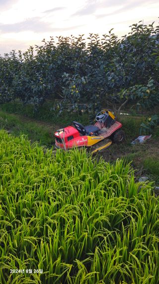 주하네팜(태추,부유님의 감 · 영농일지 작성글 사진