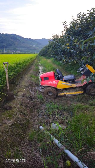 주하네팜(태추,부유님의 감 · 영농일지 작성글 사진