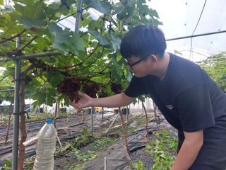 오두환님의 자유주제 · 자유게시판 작성글 사진