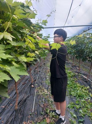 오두환님의 자유주제 · 자유게시판 작성글 사진