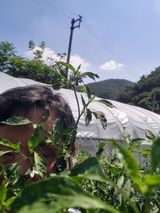팜모닝 자유주제·자유게시판 게시글 이미지