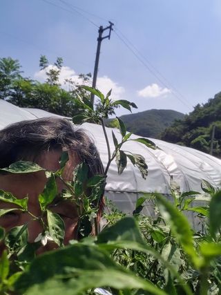 농군님의 자유주제 · 자유게시판 작성글 사진