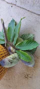 팜모닝 자유주제·자유게시판 게시글 이미지