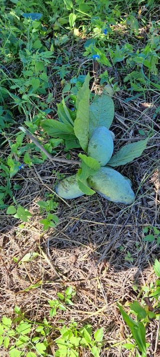 백동감님의 자유주제 · 자유게시판 작성글 사진