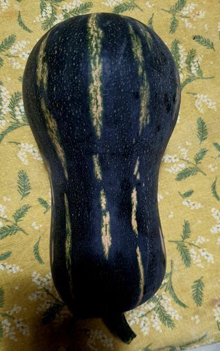 루시아님의 자유주제 · 자유게시판 작성글 사진