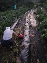 팜모닝 고추·영농일지 게시글 이미지