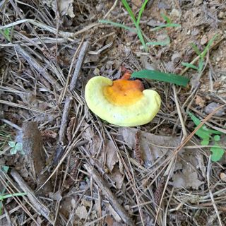 bpjh9173님의 자유주제 · 자유게시판 작성글 사진