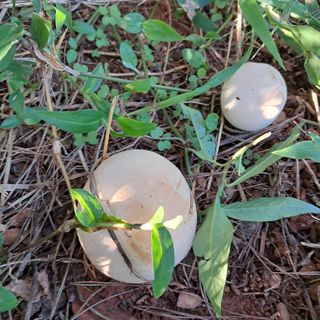 bpjh9173님의 자유주제 · 자유게시판 작성글 사진