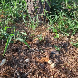 bpjh9173님의 자유주제 · 자유게시판 작성글 사진