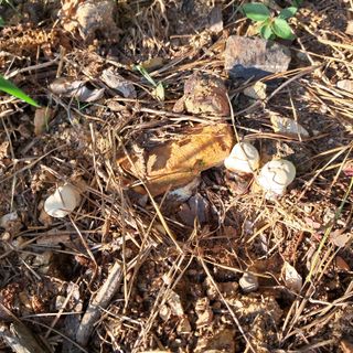 bpjh9173님의 자유주제 · 자유게시판 작성글 사진