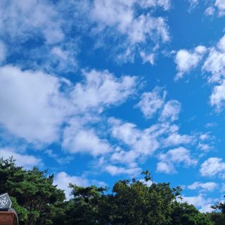 bpjh9173님의 자유주제 · 자유게시판 작성글 사진