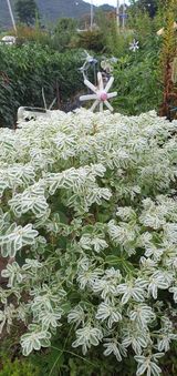 팜모닝 나의 농사 애장품을 자랑해요·참여글 게시글 이미지