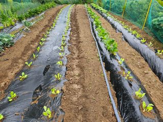 내땅님의 자유주제 · 자유게시판 작성글 사진
