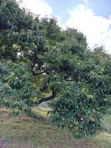 팜모닝 자유주제·자유게시판 게시글 이미지