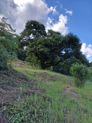 못내뜰애농원님의 자유주제 · 자유게시판 작성글 사진