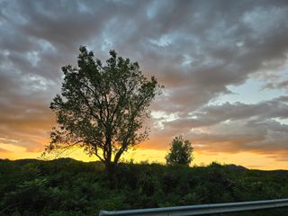 이원희님의 자유주제 · 자유게시판 작성글 사진
