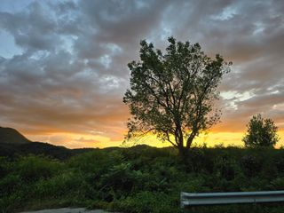 이원희님의 자유주제 · 자유게시판 작성글 사진