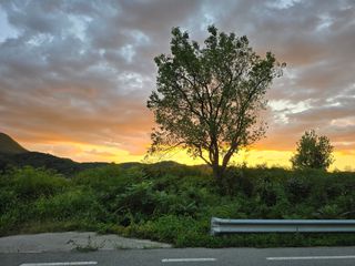 이원희님의 자유주제 · 자유게시판 작성글 사진