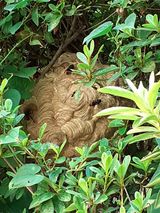 팜모닝 나의 농사 애장품을 자랑해요·참여글 게시글 이미지