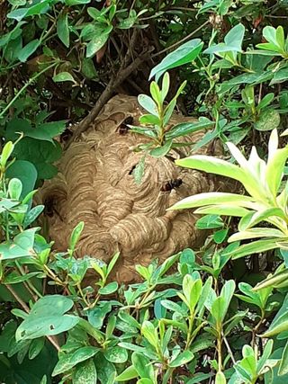 이은채님의 나의 농사 애장품을 자랑해요 · 참여글 작성글 사진