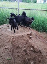 팜모닝 · 게시글 이미지