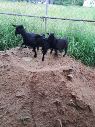 김석현님의 작성글 사진