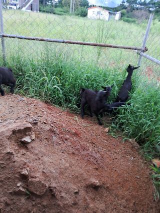 김석현님의 작성글 사진