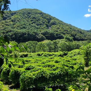 김선순(공룡자색마)님의 나의 농사 애장품을 자랑해요 · 참여글 작성글 사진