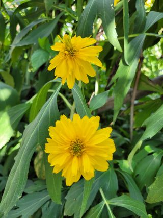 우경농원님의 자유주제 · 자유게시판 작성글 사진