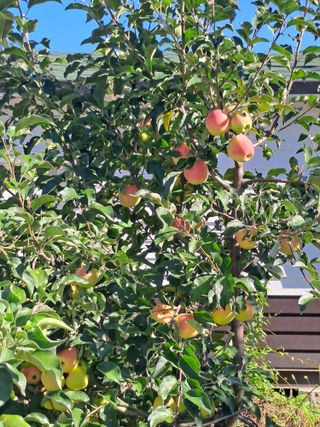 울금박사/빈덕열목사님의 자유주제 · 자유게시판 작성글 사진