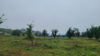 고흥유자님의 기타작물 · 영농일지 작성글 사진