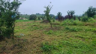 고흥유자님의 기타작물 · 영농일지 작성글 사진