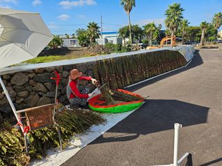 제주님의 참깨 · 영농일지 작성글 사진