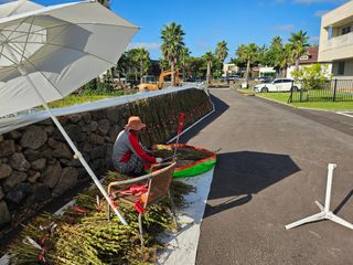 제주님의 참깨 · 영농일지 작성글 사진