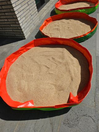 제주님의 참깨 · 영농일지 작성글 사진