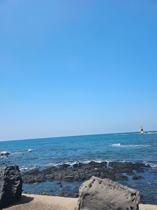 제주님의 참깨 · 영농일지 작성글 사진