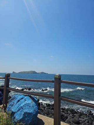 제주님의 참깨 · 영농일지 작성글 사진