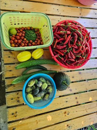 신준철님의 자유주제 · 자유게시판 작성글 사진