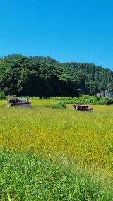 팜모닝 벼·영농일지 게시글 이미지